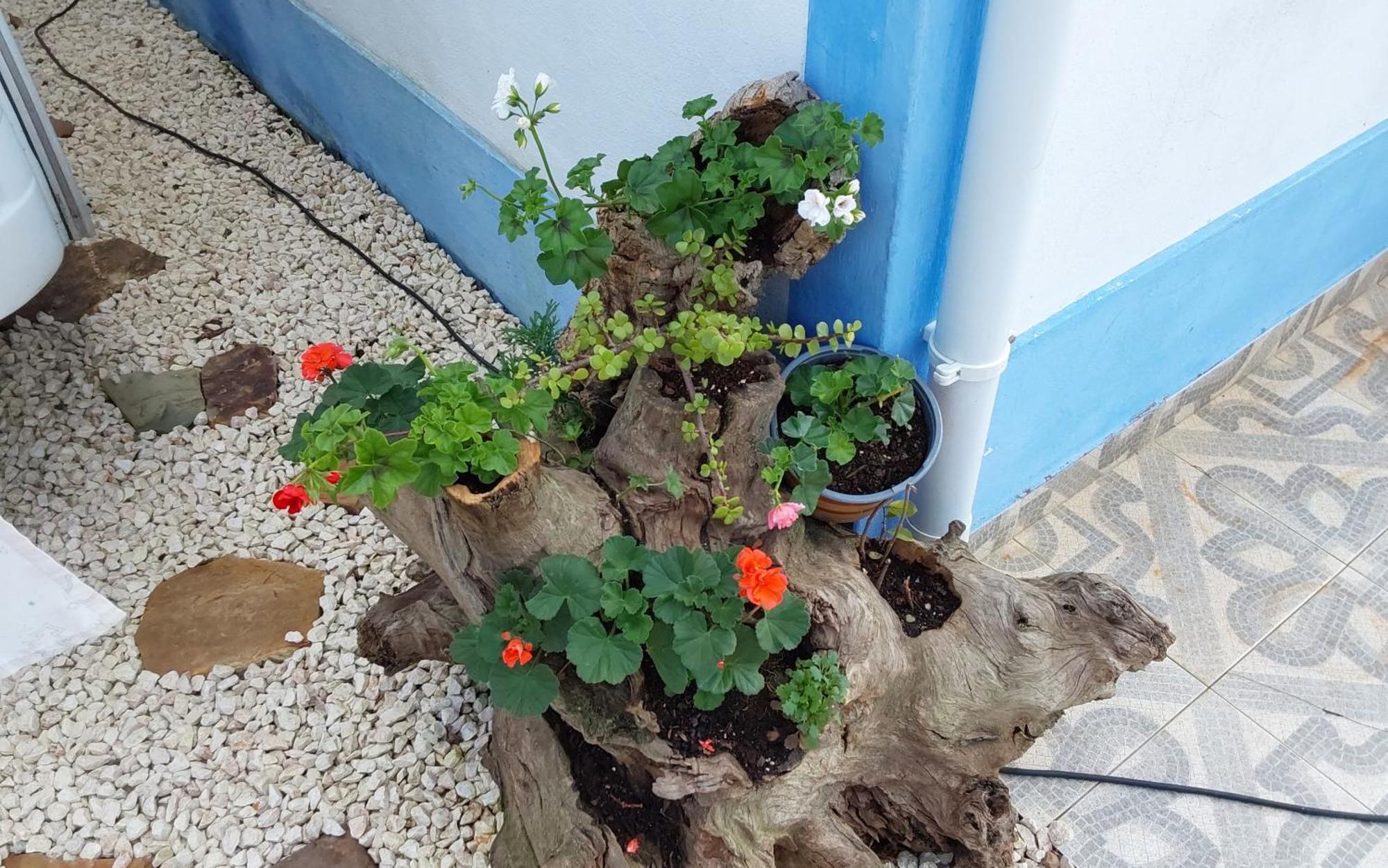 אודמירה Casa Do Brejao Campo E Praia מראה חיצוני תמונה