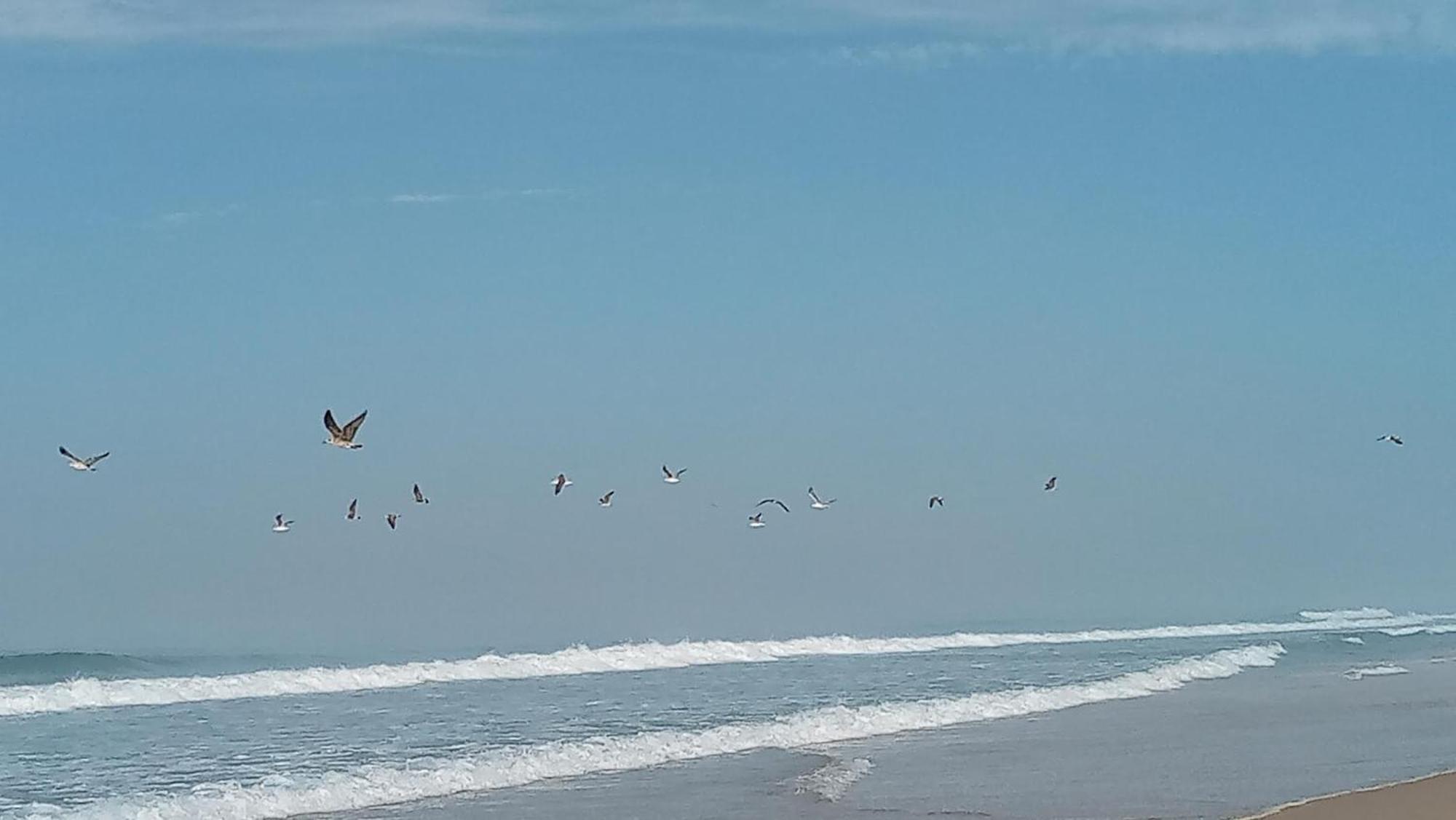 אודמירה Casa Do Brejao Campo E Praia מראה חיצוני תמונה