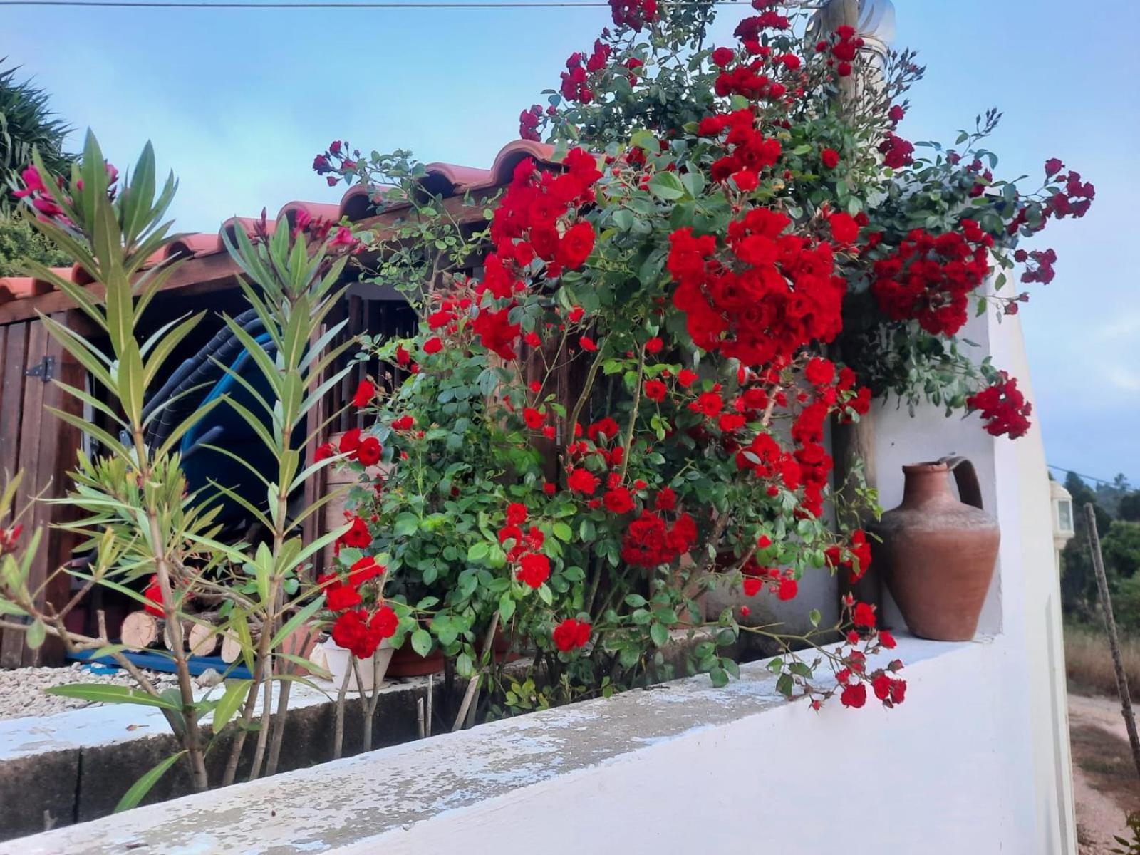 אודמירה Casa Do Brejao Campo E Praia מראה חיצוני תמונה